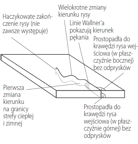 Charakterystyczny przebieg rysy termicznej: haczykowate zakończenie, linie Wallner'a pokazujące kierunek pękania oraz wejście rysy prostopadłe do krawędzi.